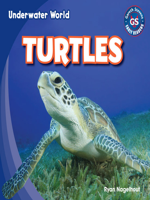 Cover image for Turtles